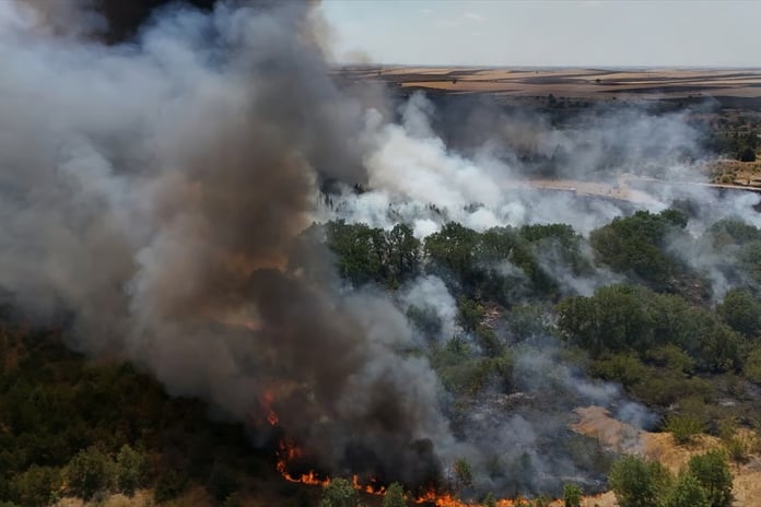 Kırklareli'nde yangın Avrupa Otoyolu'nu kapattı