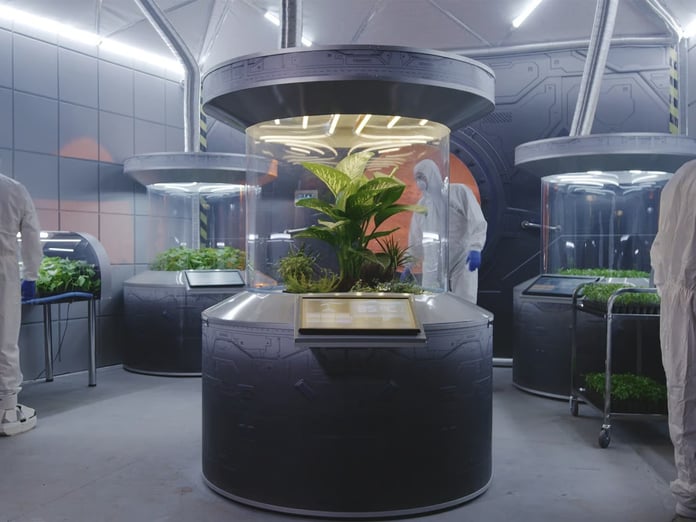 Kızıl Gezegen'de Tarım Devrimi: Mars tozundan ilk defa besin üretildi