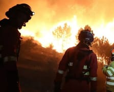 İspanya ve Portekiz orman yangınlarıyla boğuşuyor