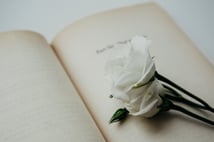 16.Uluslararası İstanbul Şiir ve Edebiyat Festivali başlıyor