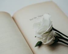 16.Uluslararası İstanbul Şiir ve Edebiyat Festivali başlıyor