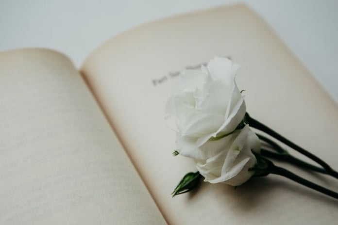 16.Uluslararası İstanbul Şiir ve Edebiyat Festivali başlıyor