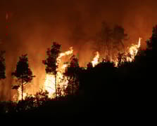 Lazkiye'de orman yangınları başladı