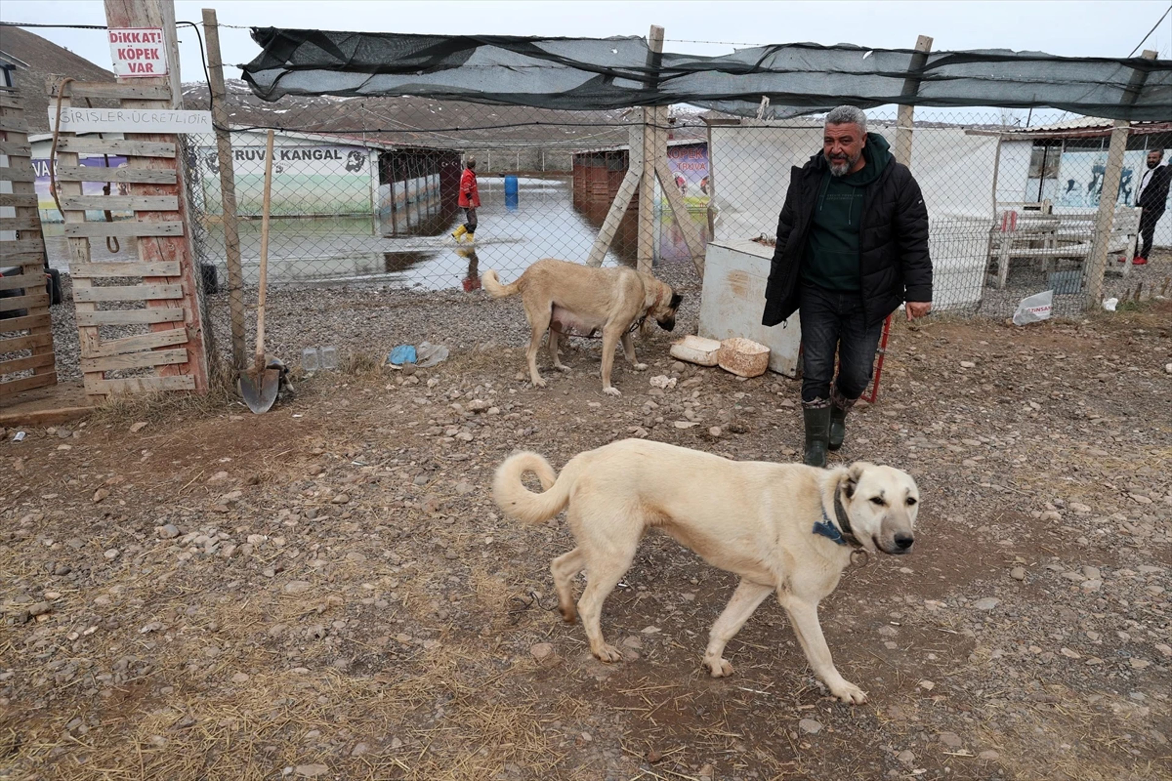 Galeri Fotoğrafı
