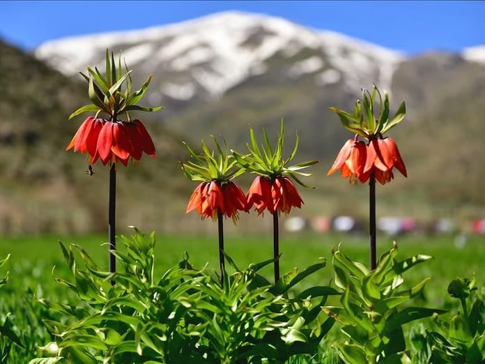 Bahar geldi ama enerjiniz gelmedi mi?