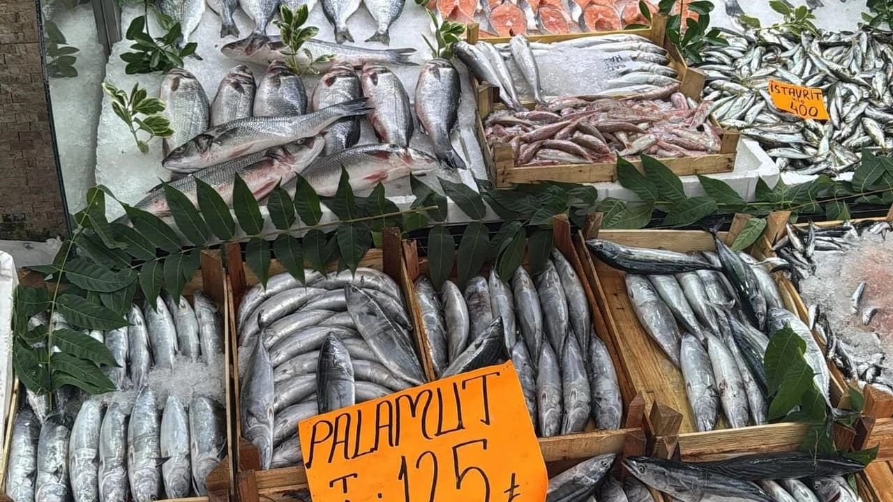 Denizlerde palamut patlaması! Tanesi 125 liradan tezgaha indi!