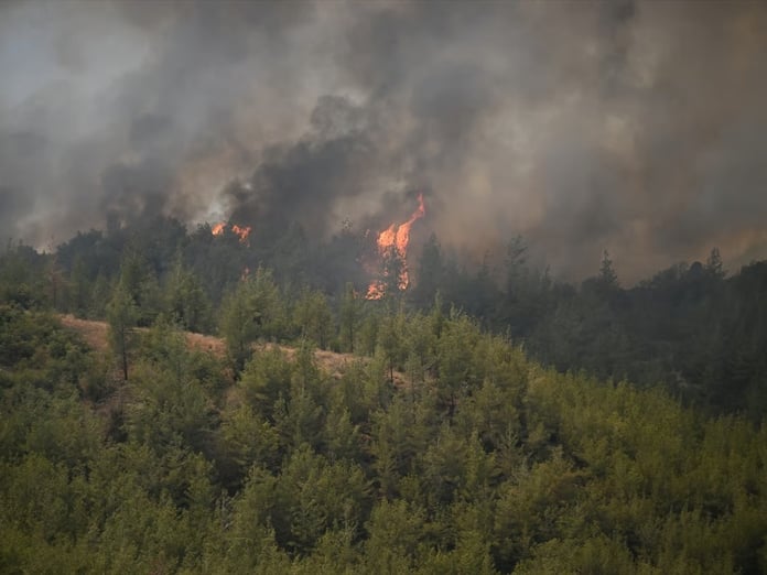 Adana'da yangın söndürme uçağı düştü: 2 pilot yaralandı