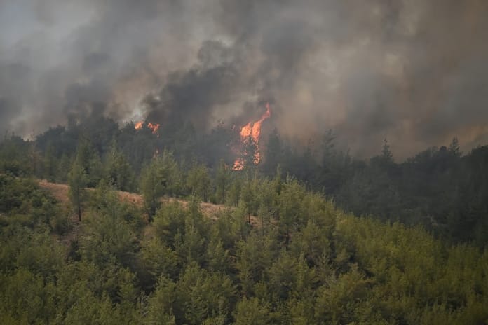 Adana'da yangın söndürme uçağı düştü: 2 pilot yaralandı