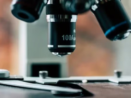 Ünlülerin kanında ve saçında tespit edilen THC-COOH ve MDMA nedir?