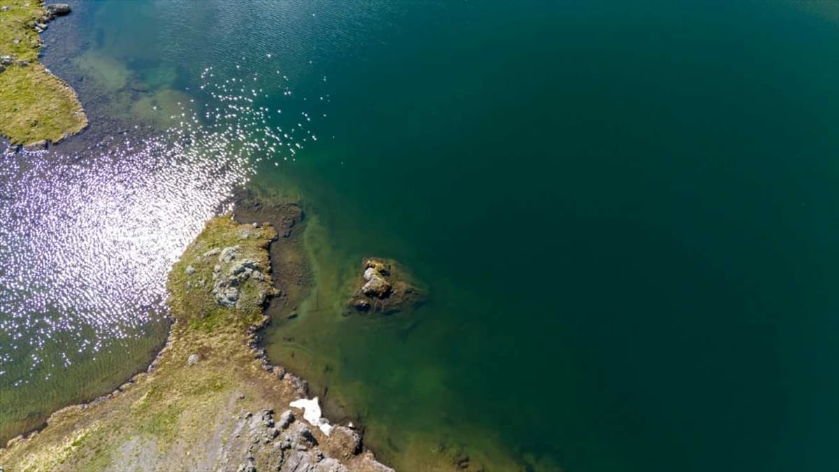 Erzurum'da 3 bin 200 rakımdaki Yedigöller'de kar ve yaz bir arada