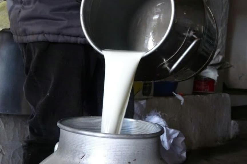 Çiğ süt fiyatlarına zam: Litre başına 19,60 TL oldu
