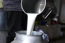 Çiğ süt fiyatlarına zam: Litre başına 19,60 TL oldu