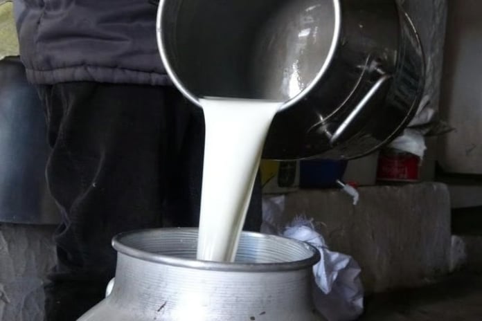 Çiğ süt fiyatlarına zam: Litre başına 19,60 TL oldu