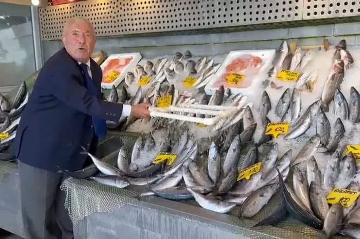 Balık sezonu bereketli başladı! Palamut ve hamsi fiyatları ne kadar?