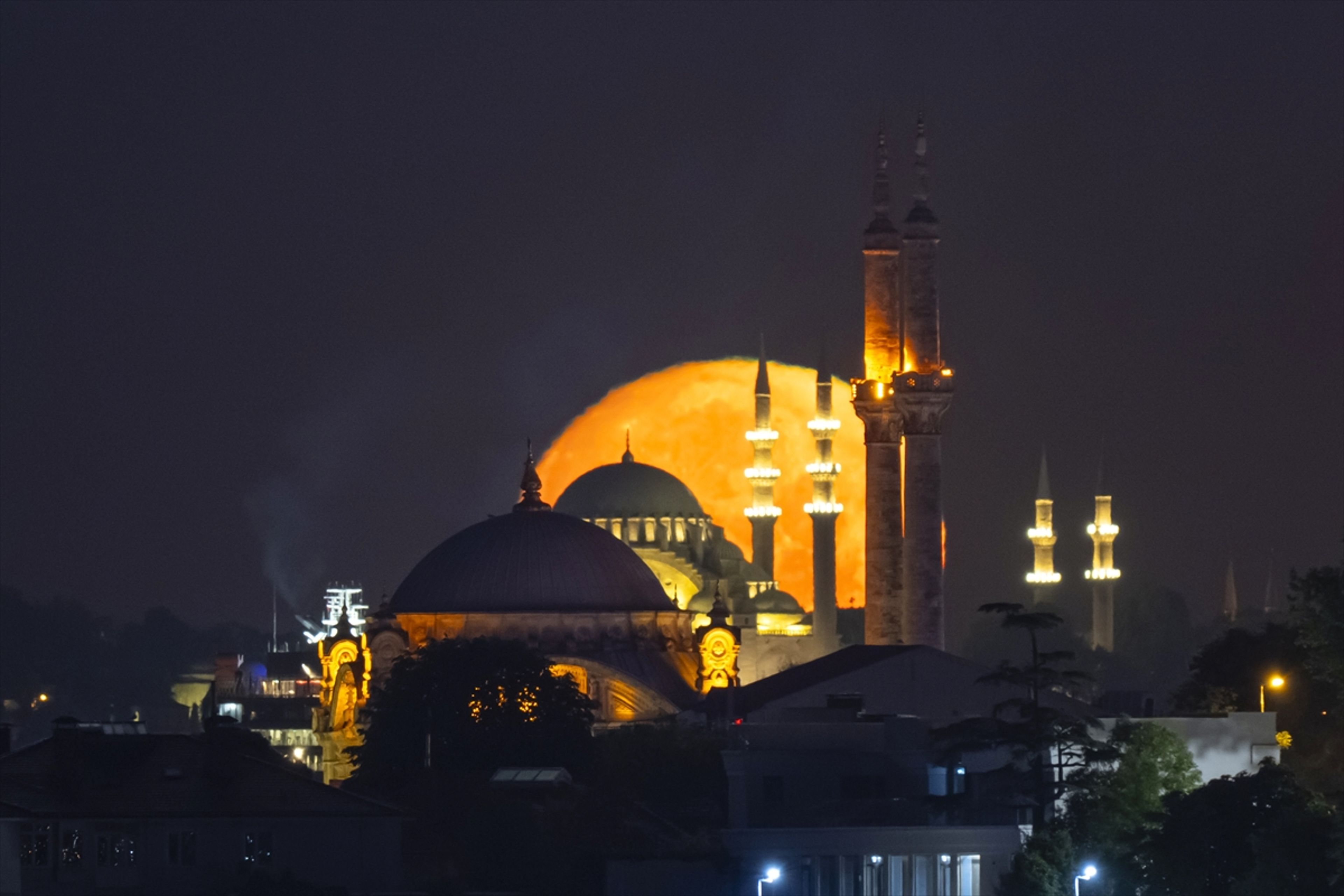 Galeri Fotoğrafı