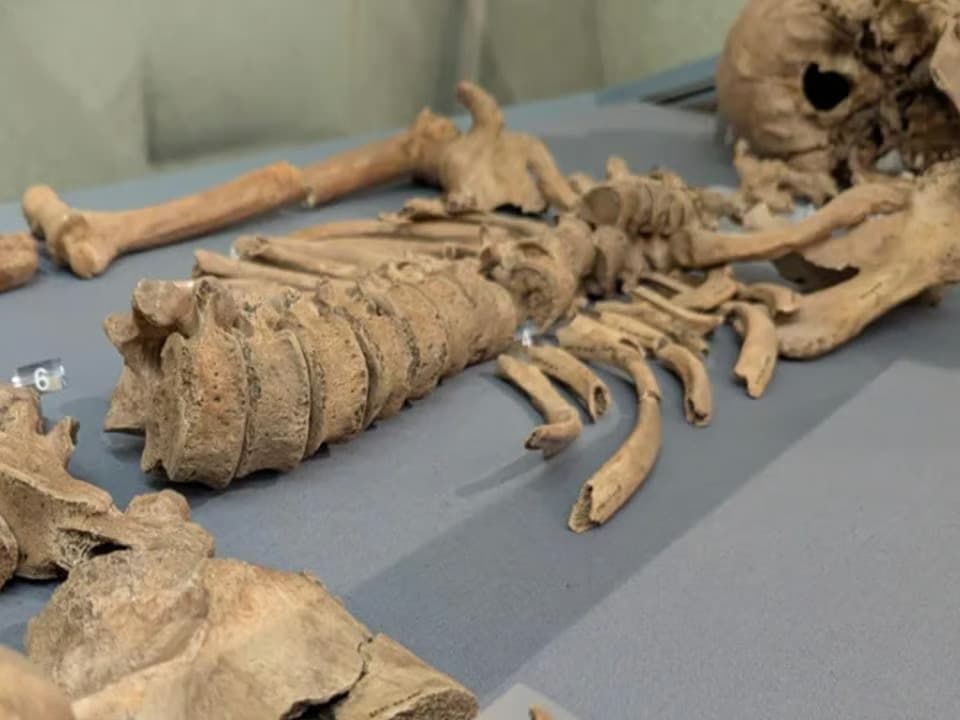 Gladtatörler ile aslanların dövüştüğü kanıtlandı