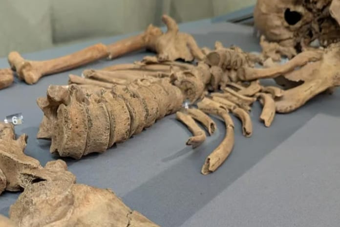 2000 yıl sonra kanıtlandı: Gladyatörler aslanlarla dövüştü