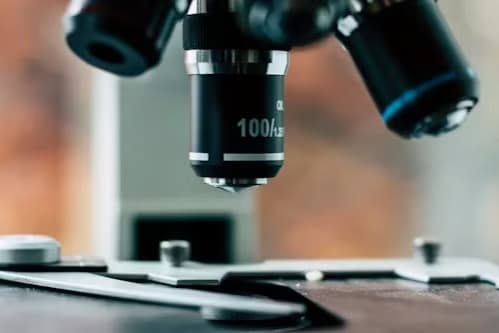 Ünlülerin kanında ve saçında tespit edilen THC-COOH ve MDMA nedir?