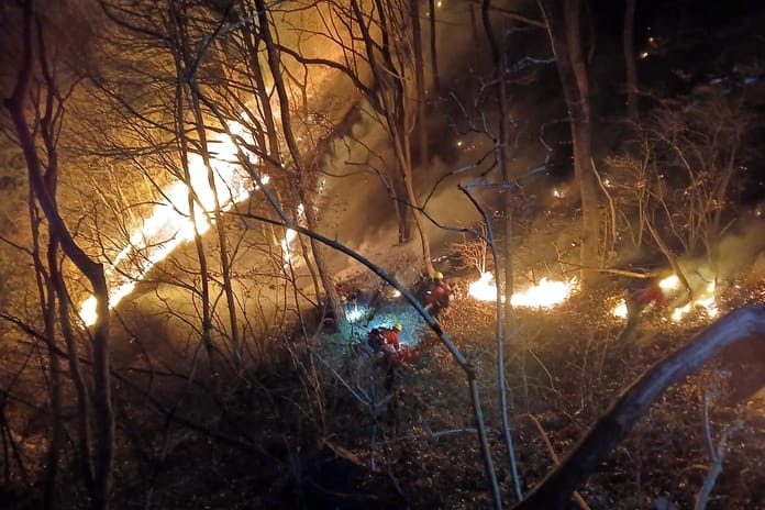 Fotoğraf / Korea Herald