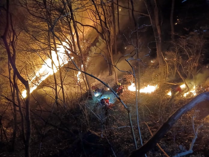 Fotoğraf / Korea Herald