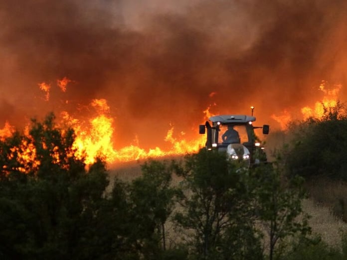 Bolivya'da orman yangınlarıyla mücadele için acil durum ilan edildi