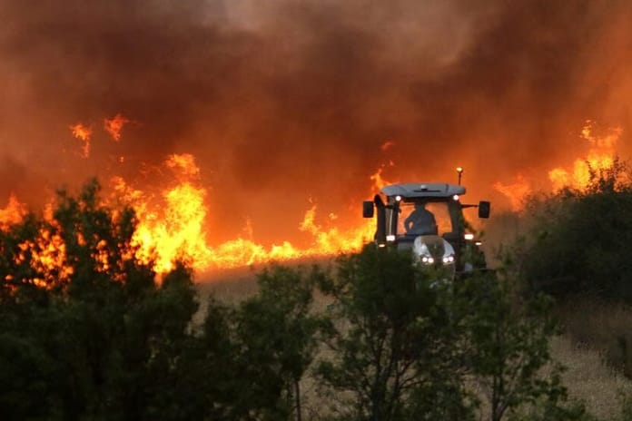 Bolivya'da orman yangınlarıyla mücadele için acil durum ilan edildi