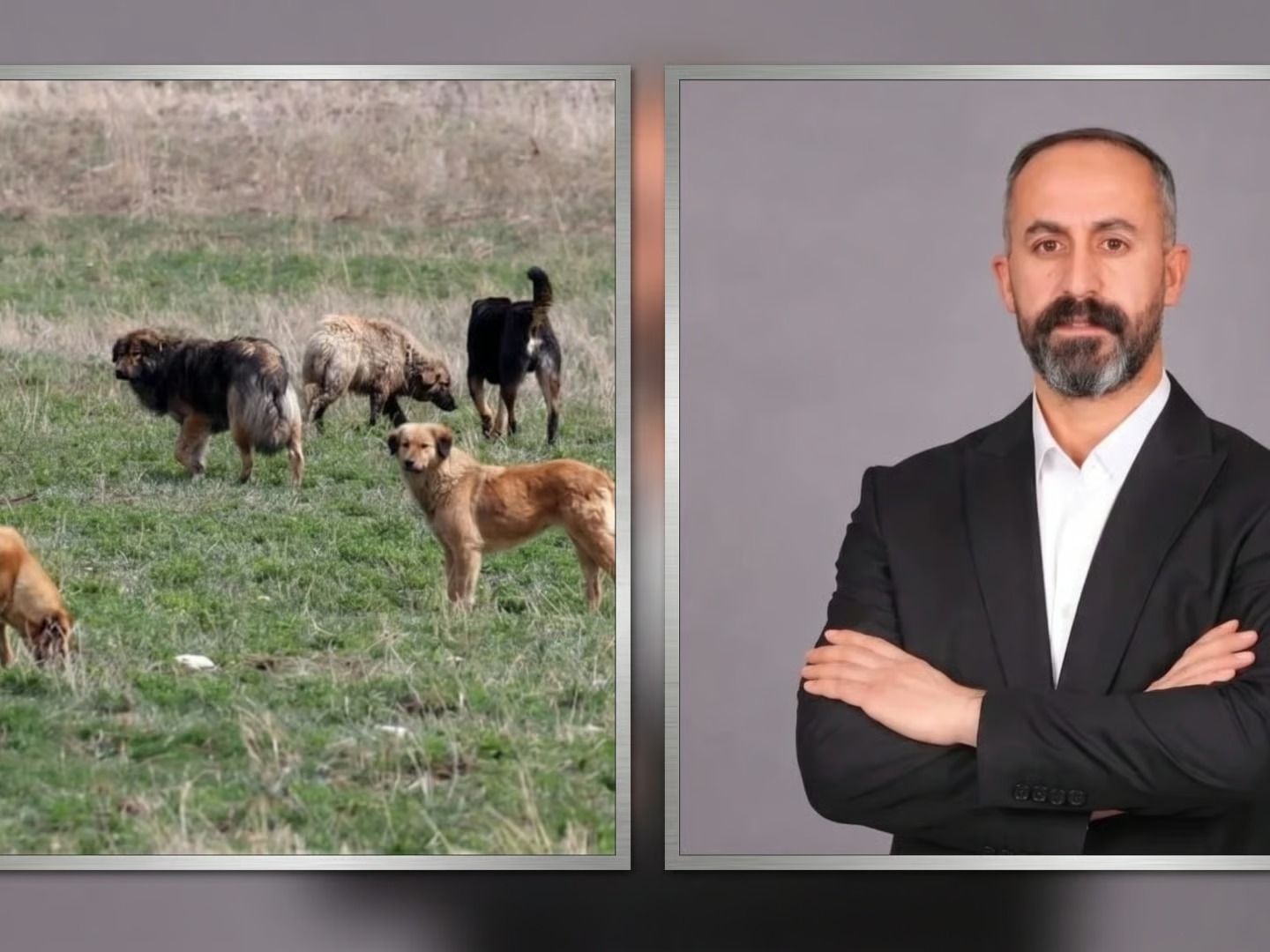 Van’ın Saray ilçesi Belediye Başkanı hakkında soruşturma izni verildi