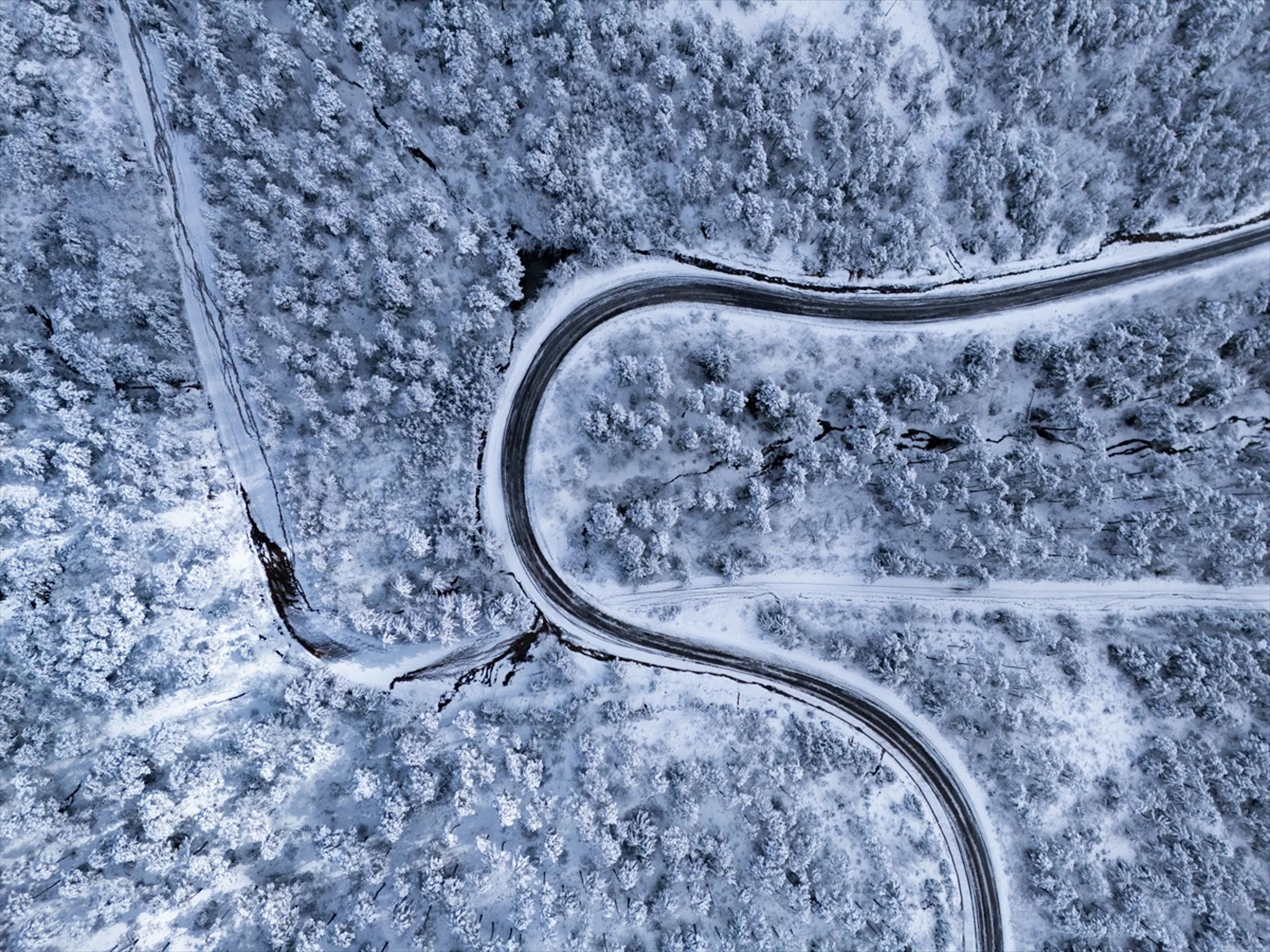 Galeri Fotoğrafı