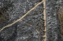 Çanakkale Gelibolu'daki orman yangını kontrol altına alındı