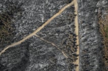 Çanakkale Gelibolu'daki orman yangını kontrol altına alındı