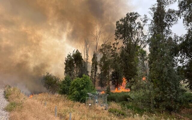 İsrail'de orman yangınları yerleşim yerlerine dayandı. (Times Of Israel)