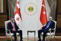 Cumhurbaşkanı Erdoğan Gürcü mevkidaşı Kavelaşvili ile görüştü