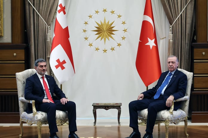 Cumhurbaşkanı Erdoğan Gürcü mevkidaşı Kavelaşvili ile görüştü