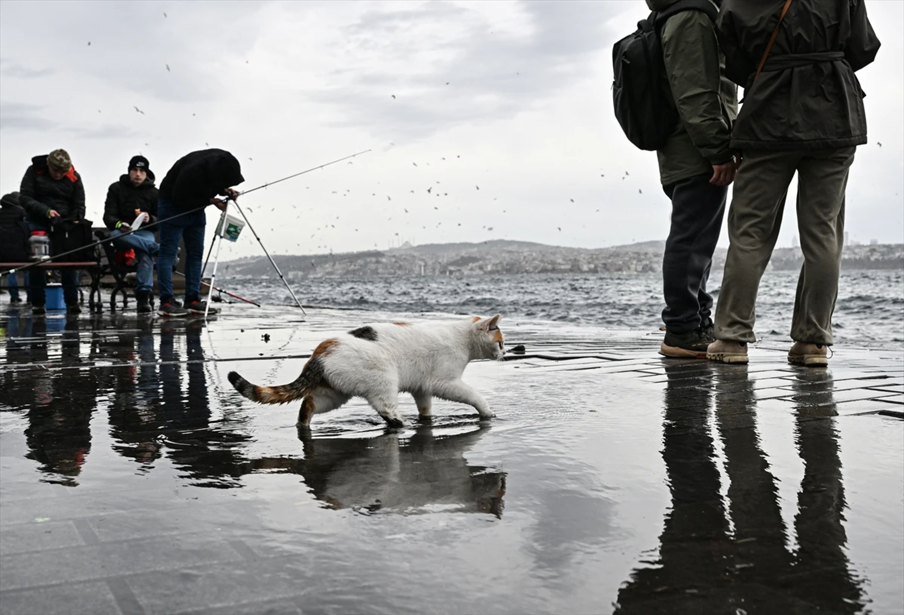 Galeri Fotoğrafı