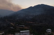 Bursa'da acı tablo: Yangınların boyutu gün ağarınca ortaya çıktı