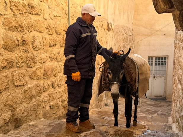 Mardin'de yeni dönem: Eşekler emekli oluyor