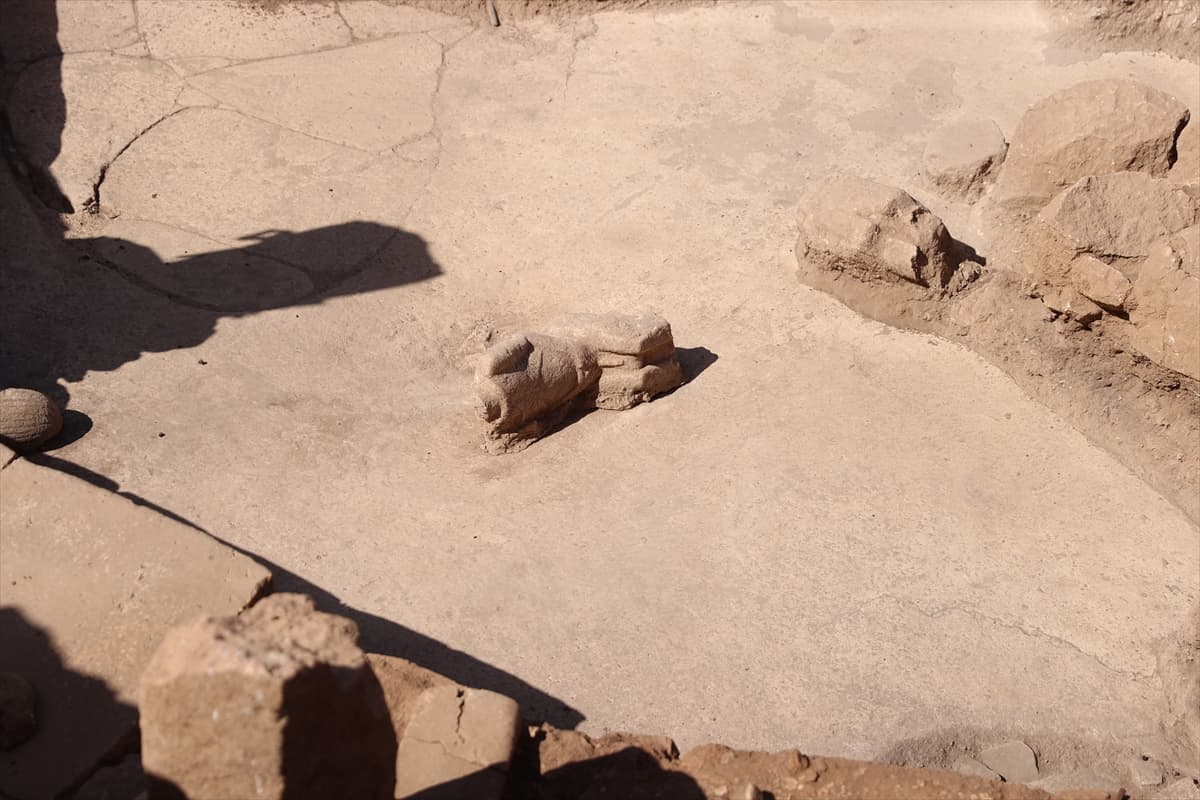 Şanlıurfa’da 12 bin yıllık 'amfi tiyatro' ortaya çıktı