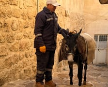 Mardin'de yeni dönem: Eşekler emekli oluyor