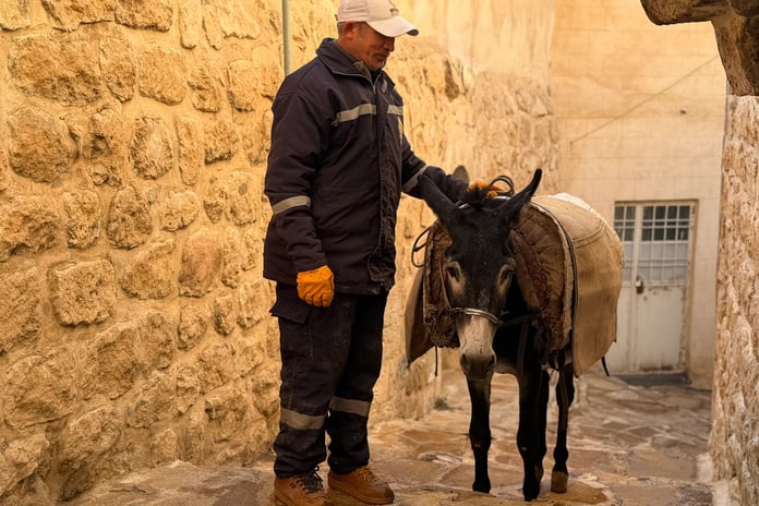 Mardin'de yeni dönem: Eşekler emekli oluyor