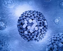 H3N2 virüsü nedir? H3N2 virüsü H3N2 virüsü nedir?