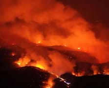 "Bursamız yeşil kalsın vatanımız milletimiz sağ olsun"