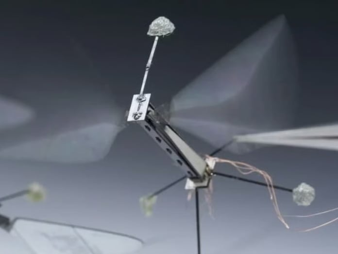 Arı beyinlerinden esinlenen yeni çipler mikro robotlara tam otonomi kazandırıyor