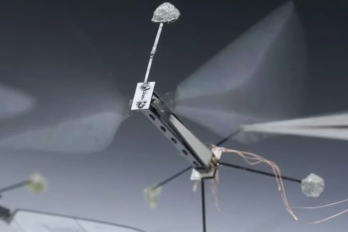 Arı beyinlerinden esinlenen yeni çipler mikro robotlara tam otonomi kazandırıyor