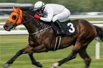 Aşevi skandalında ceza, at sahibine kesildi! "Bu büyük bir kötülük"