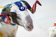 Kurban Bayramı ne zaman? Diyanet takvimi ile 2026 Kurban Bayramı hangi tarihte, kaç gün?