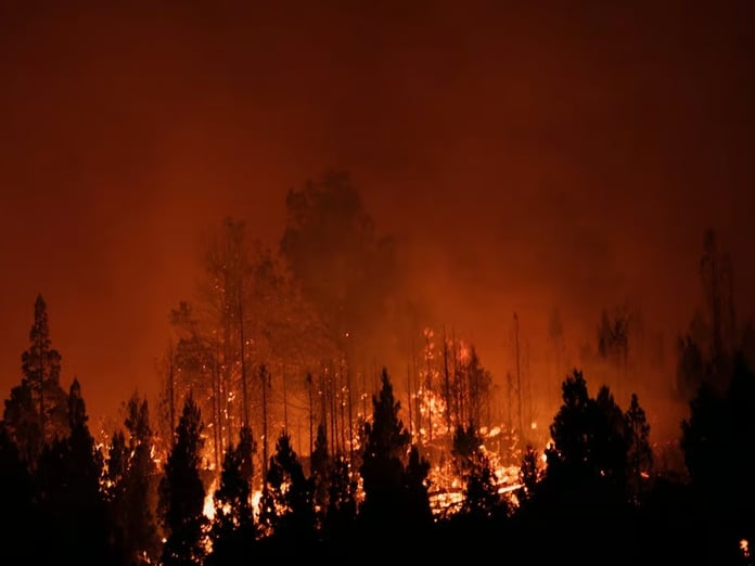 ABD’nin Georgia eyaletinde yangın felaketi: 120’den fazla ev küle döndü