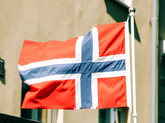 Norway To Ban AI for Elementary School Pupils