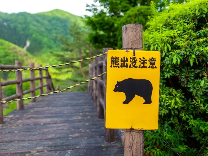 Ayı saldırılarının arttığı Japonya'da yapay zeka ile üretilen ayı videoları korku yayıyor