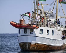 Hanzala aktivistleri açlık grevinde