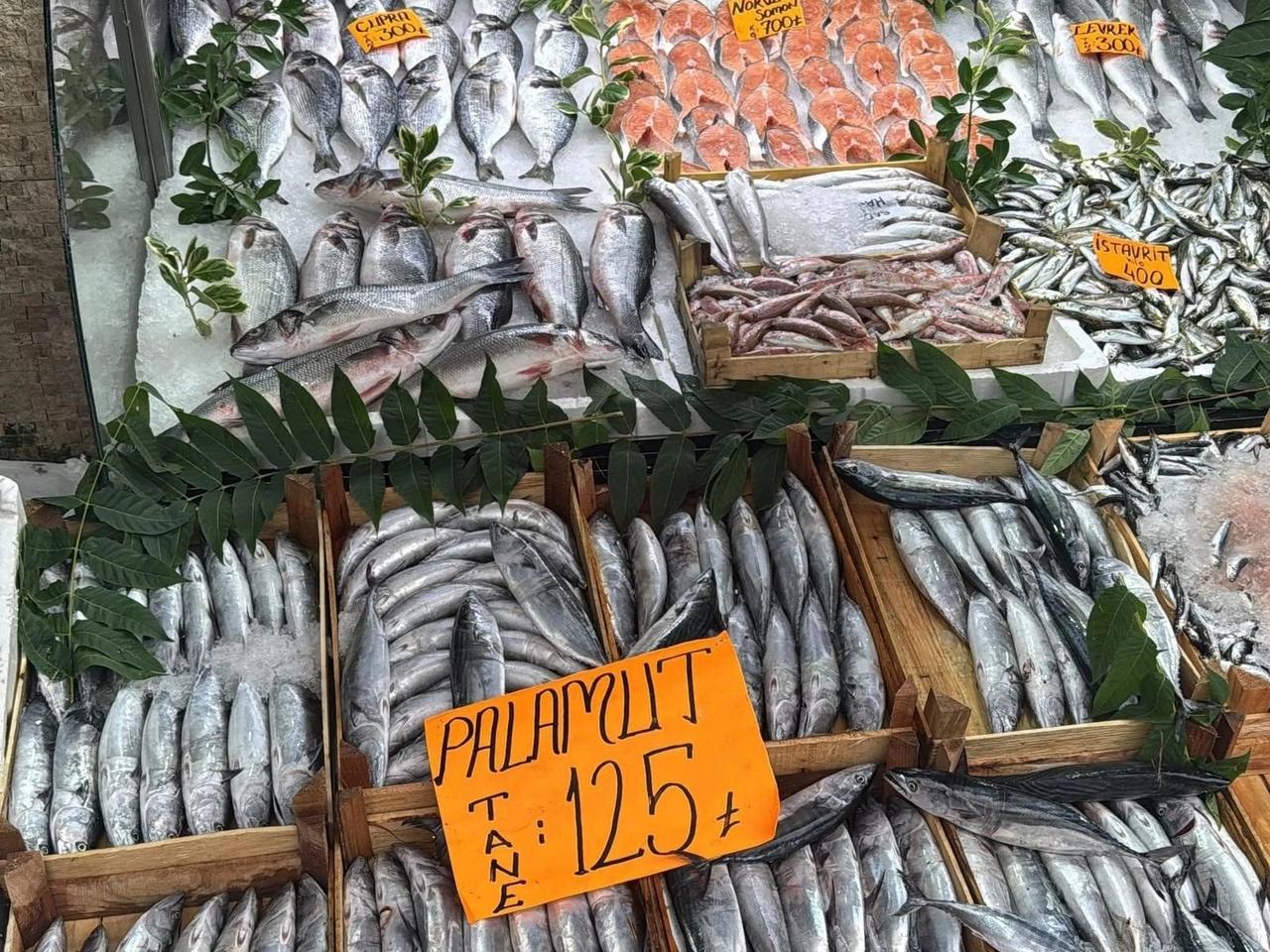Denizlerde palamut patlaması! Tanesi 125 liradan tezgaha indi!